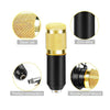 Professional Studio Vocal Recording Mic Condenser Microphone With Boom Holder Set ( karaoke, Recording & Broadcasting)