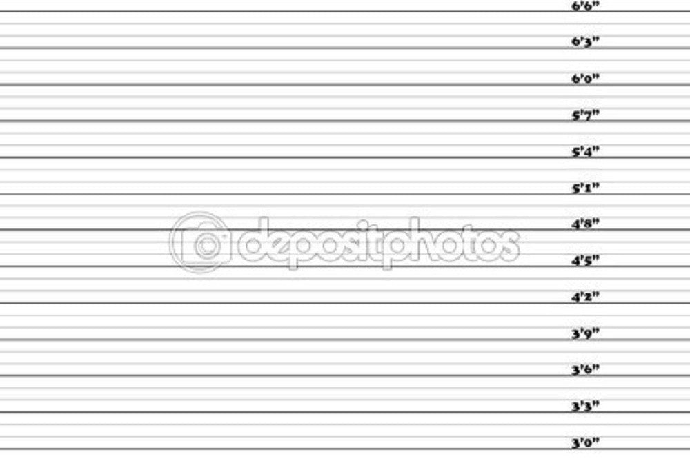 3-6.6 Inch Mugshot Theme Print Photography Backdrop
