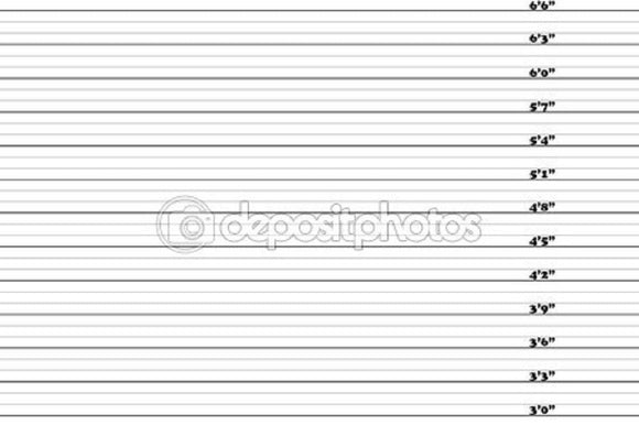 3-6.6 Inch Mugshot Theme Print Photography Backdrop