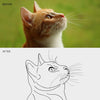 Vectorization