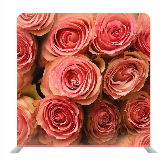 Beautiful pink roses Backdrop - Backdropsource